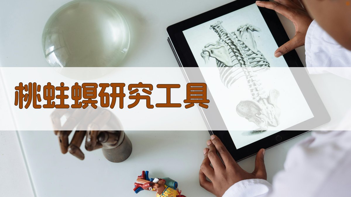 AI桃蛀螟研究工具