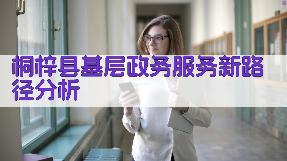 桐梓县基层政务服务新路径分析