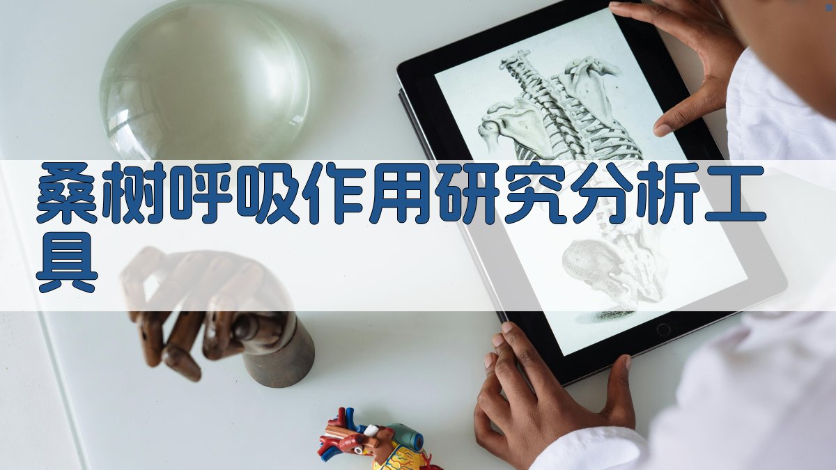 桑树呼吸作用研究分析工具