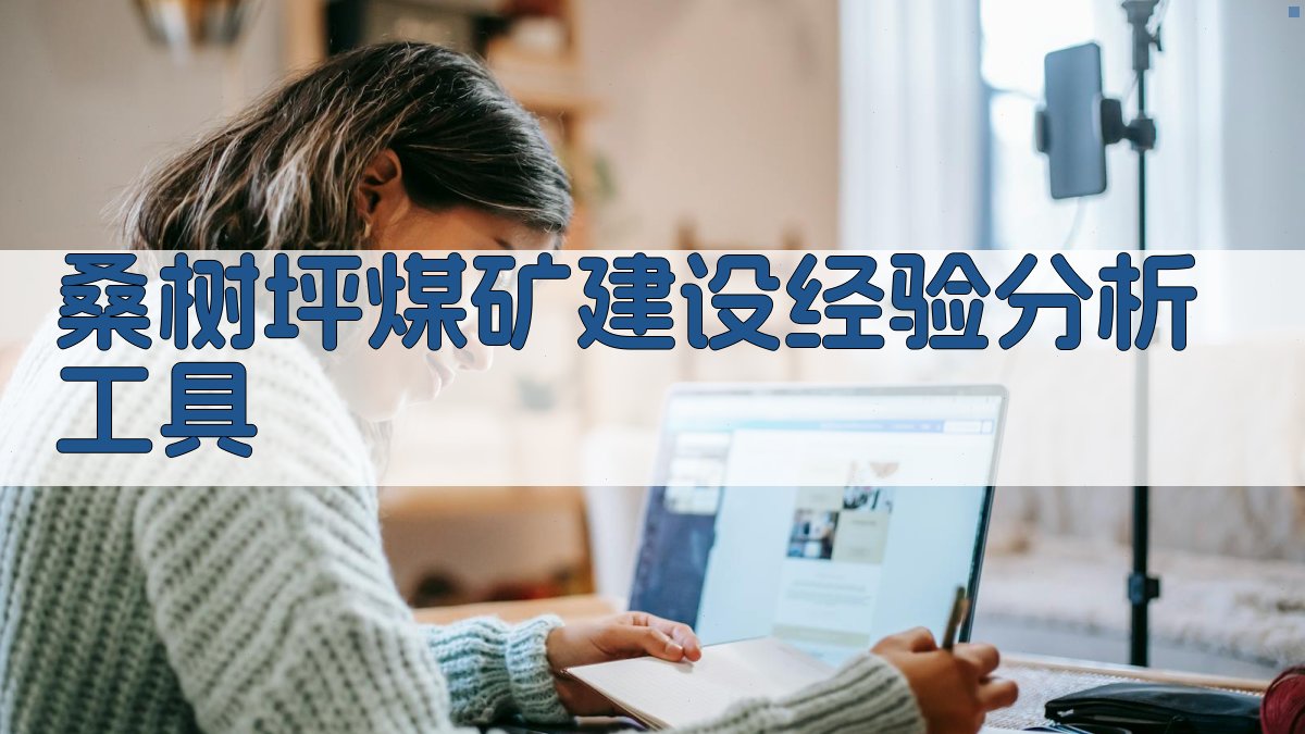 桑树坪煤矿建设经验分析工具