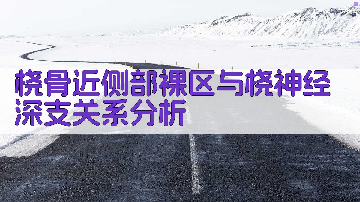 桡骨近侧部裸区与桡神经深支关系分析