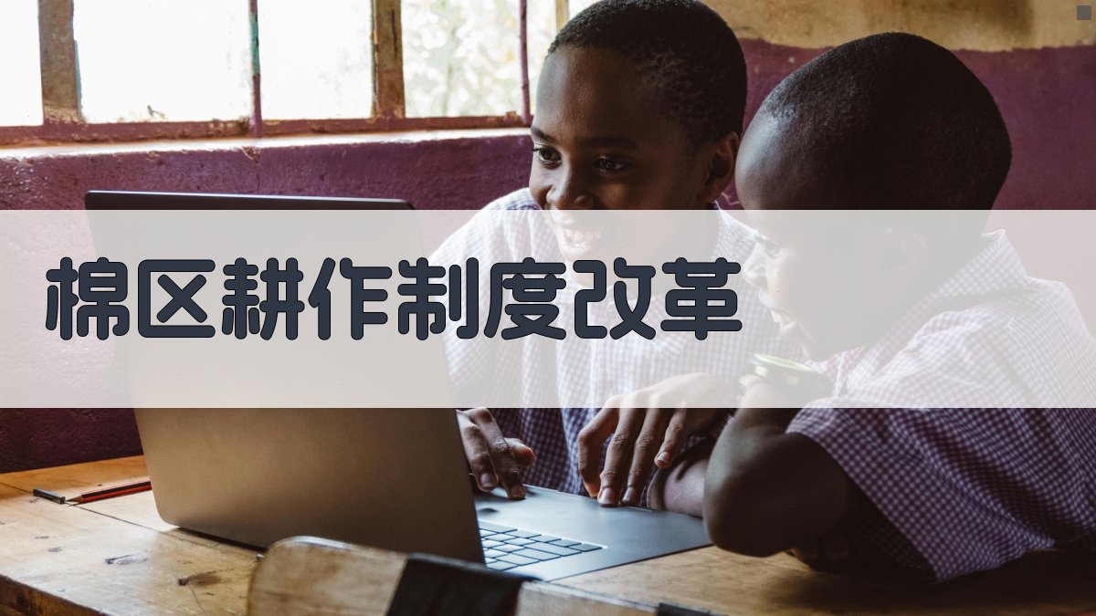 我国棉区耕作制度改革研究