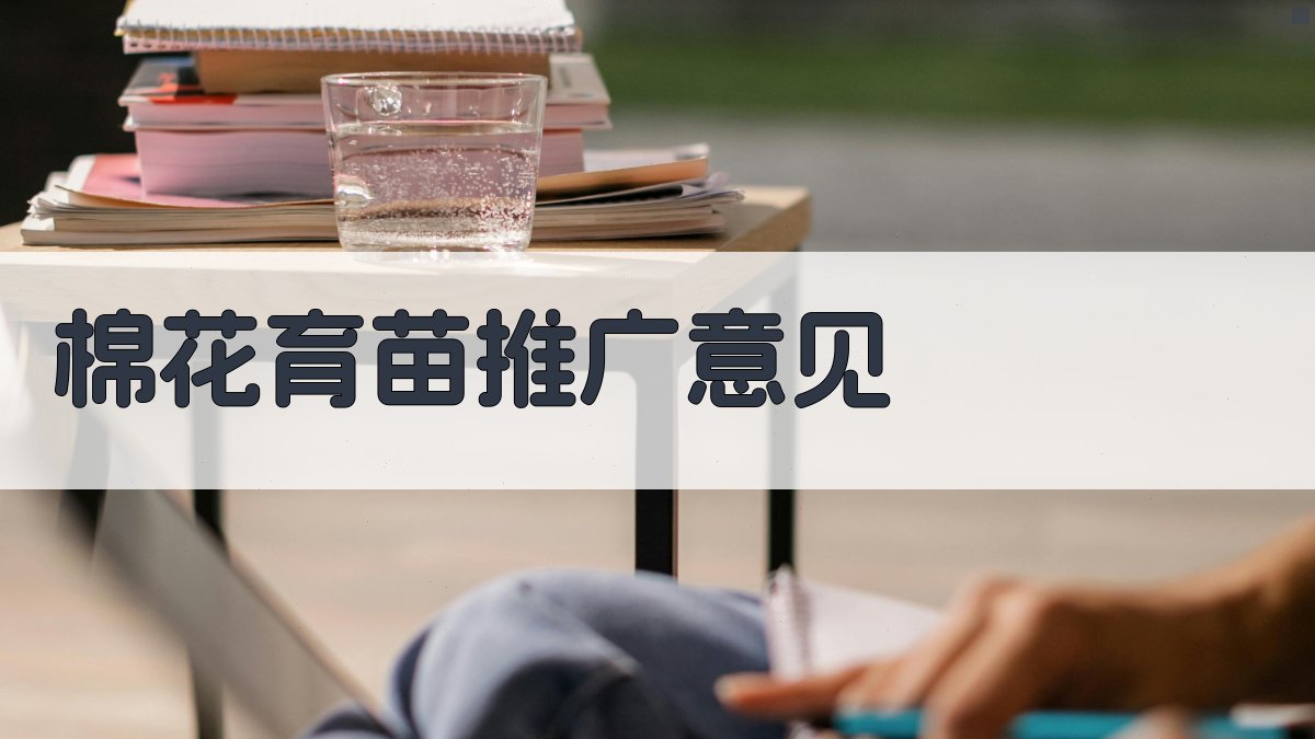 AI棉花育苗推广意见生成器