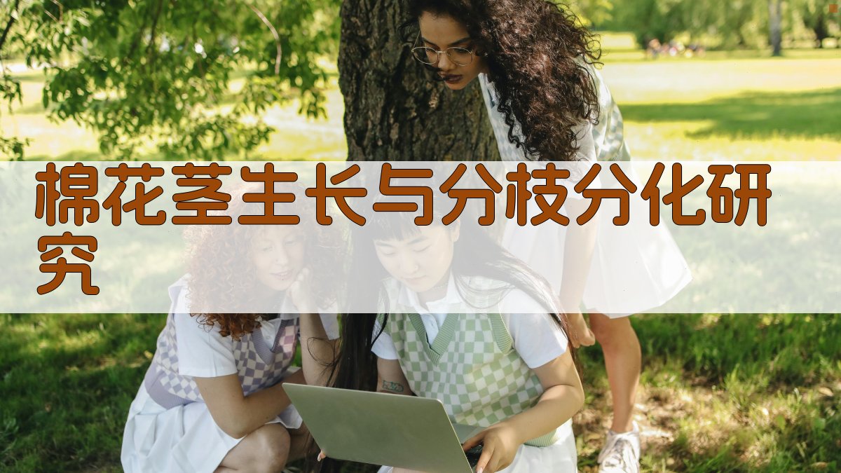 棉花茎生长与分枝分化研究助手