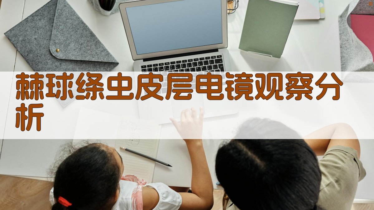 棘球绦虫皮层电镜观察分析