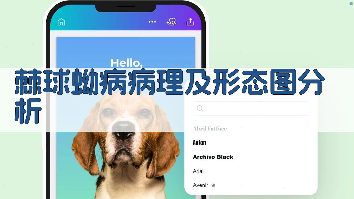 AI棘球蚴病病理及形态图分析