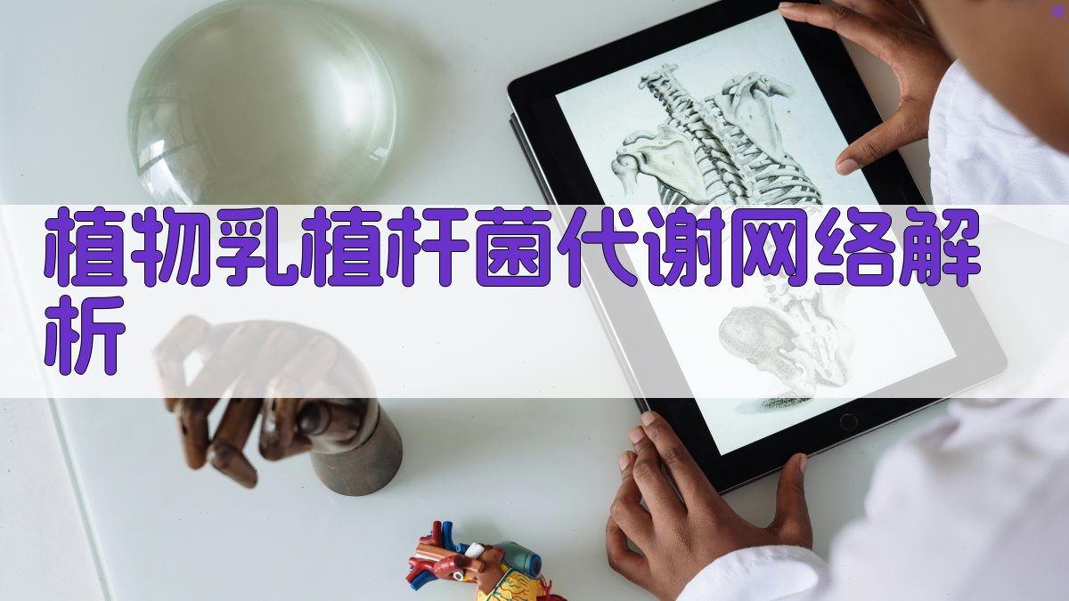 AI植物乳植杆菌代谢网络解析