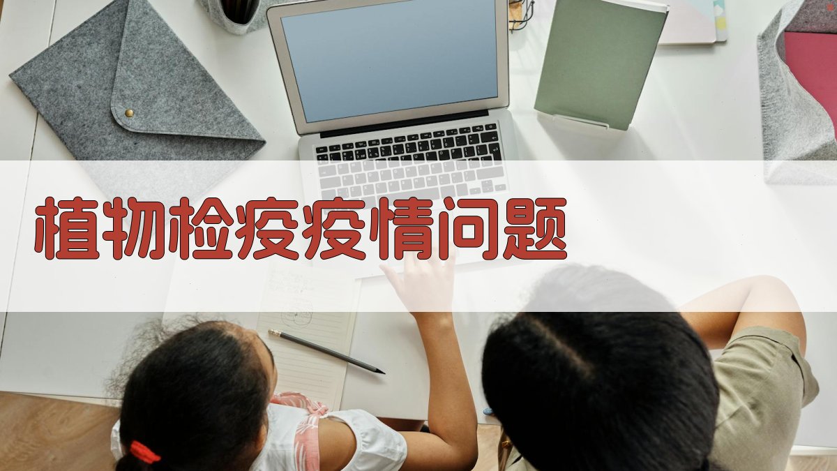 AI植物检疫疫情问题分析器