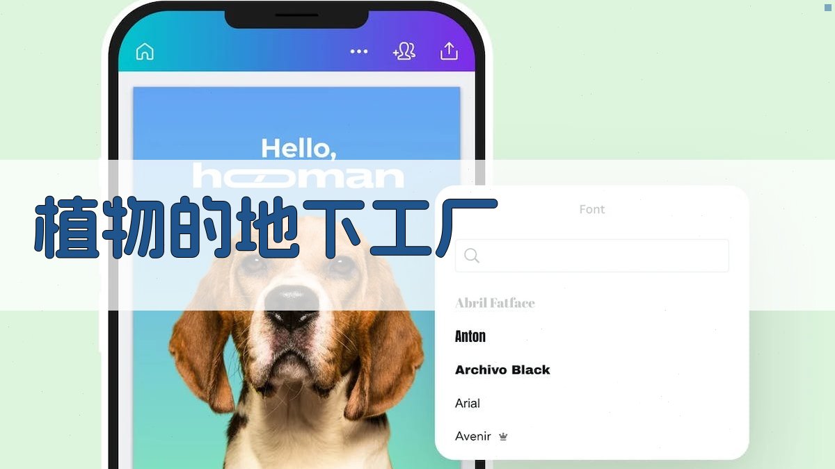 植物的地下工厂