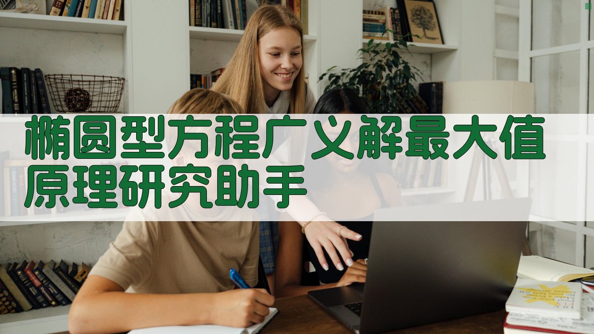 椭圆型方程广义解最大值原理研究助手