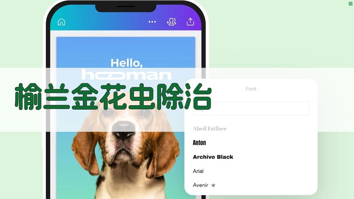 AI一键生成榆兰金花虫除治方案