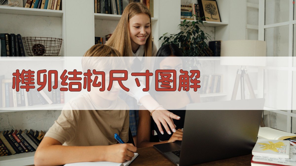 AI榫卯结构尺寸图解