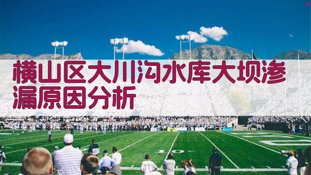 横山区大川沟水库大坝渗漏原因分析