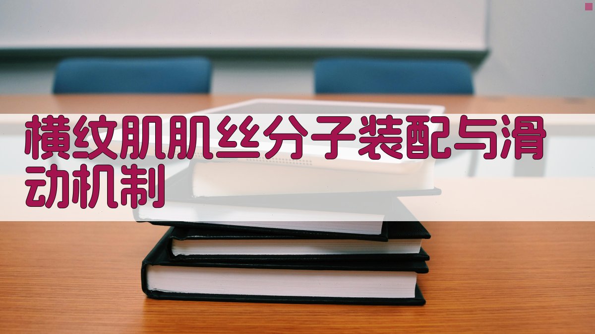 AI智能横纹肌肌丝分子装配与滑动机制解析