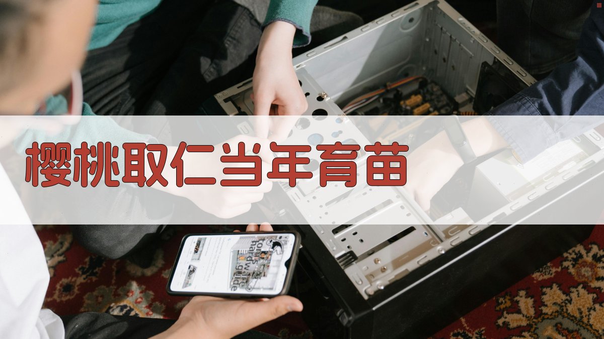 AI樱桃取仁当年育苗助手