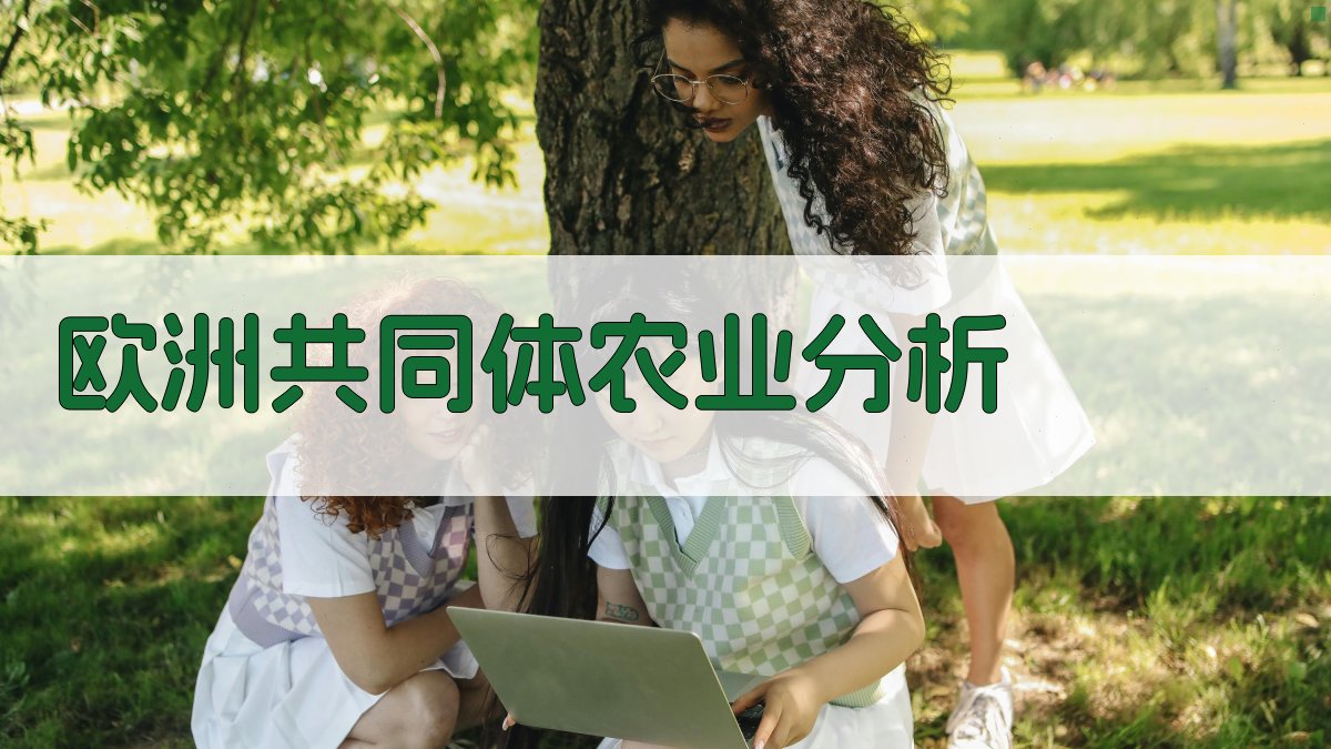 欧洲共同体农业发展与矛盾分析