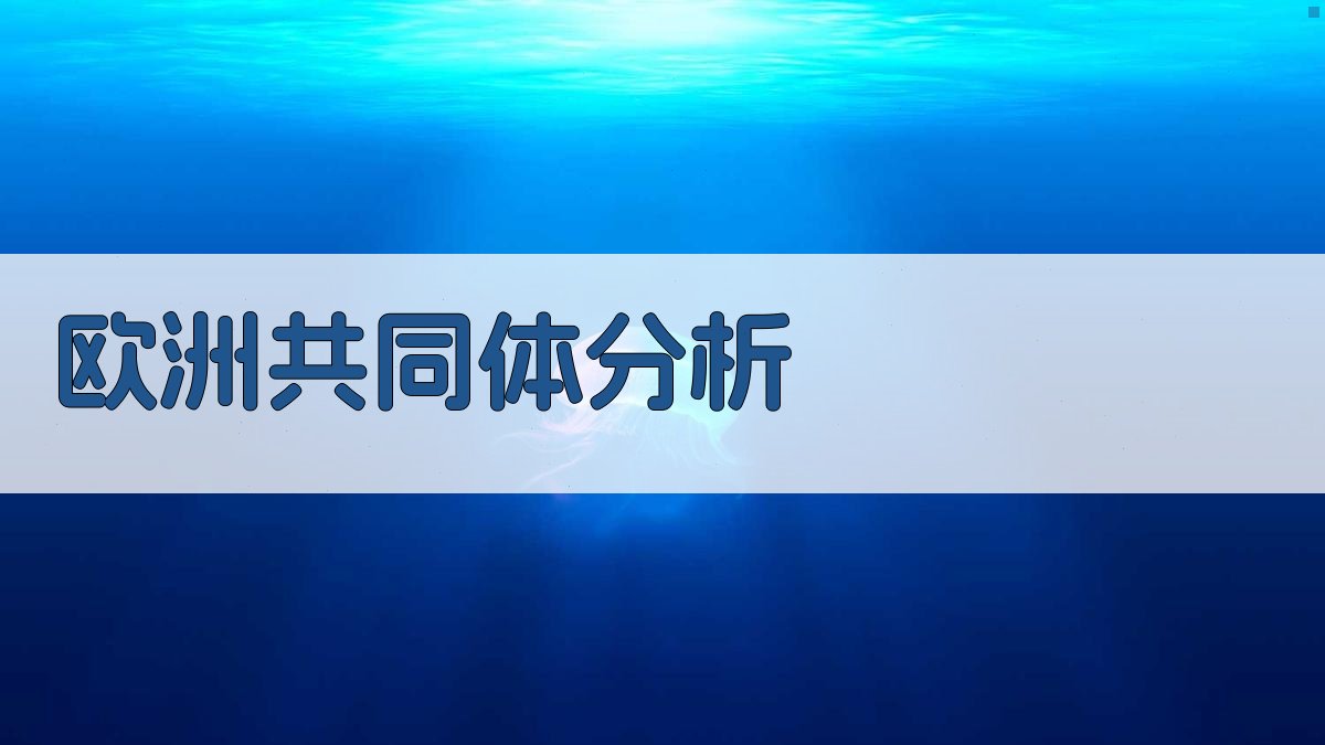 欧洲共同体的过去、现在和未来