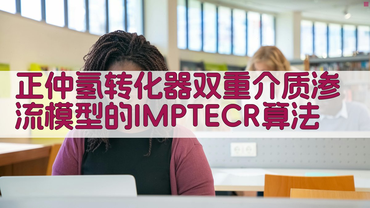 正仲氢转化器双重介质渗流模型IMPTECR算法