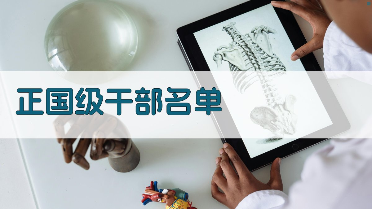 AI查询正国级干部名单