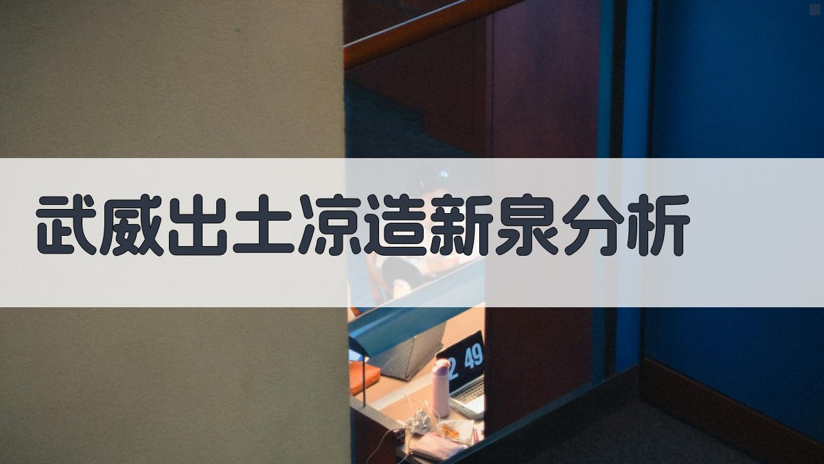 武威出土凉造新泉分析