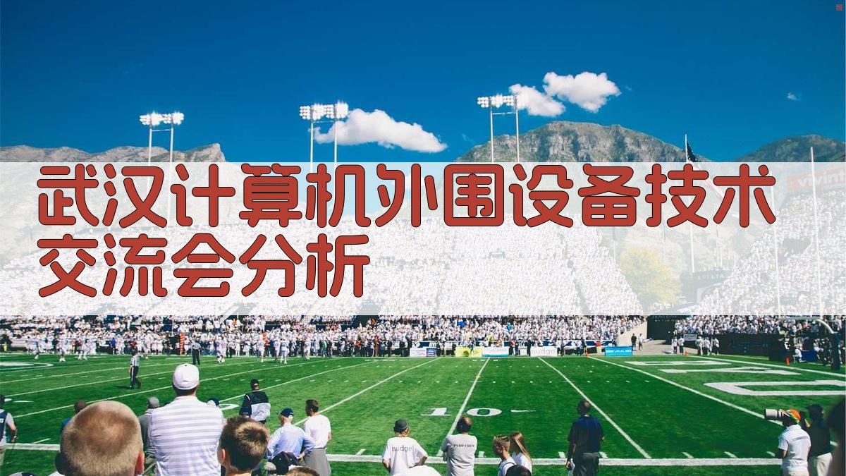 武汉计算机外围设备技术交流会分析
