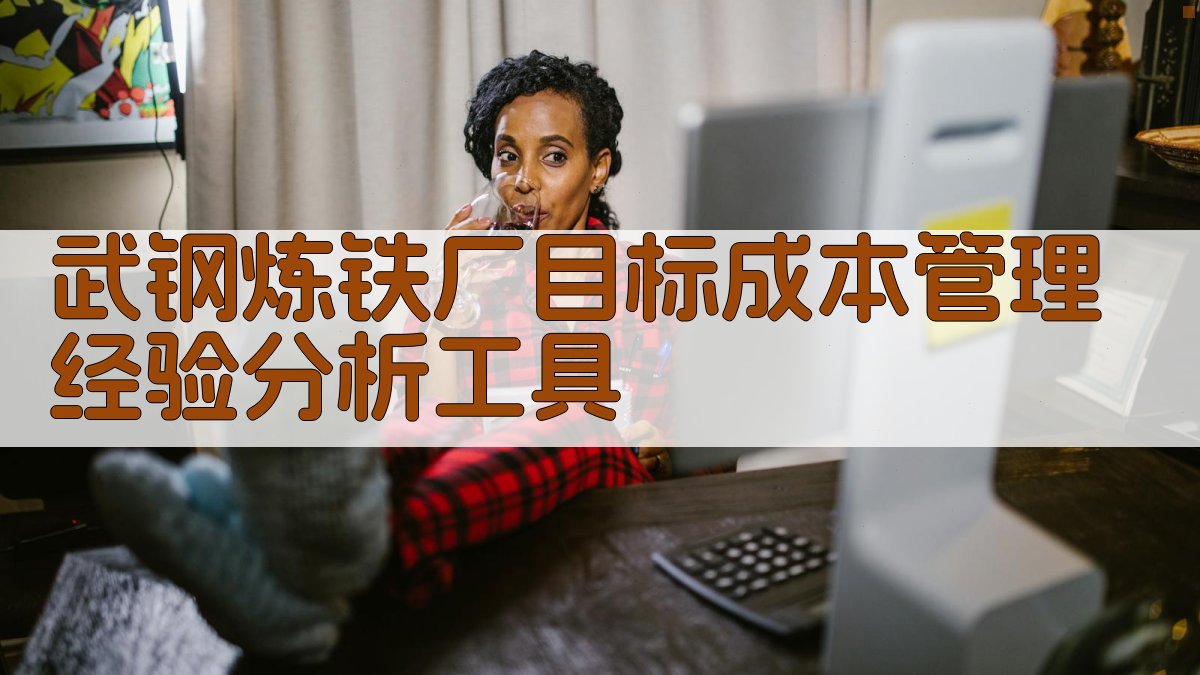 武钢炼铁厂目标成本管理经验分析工具