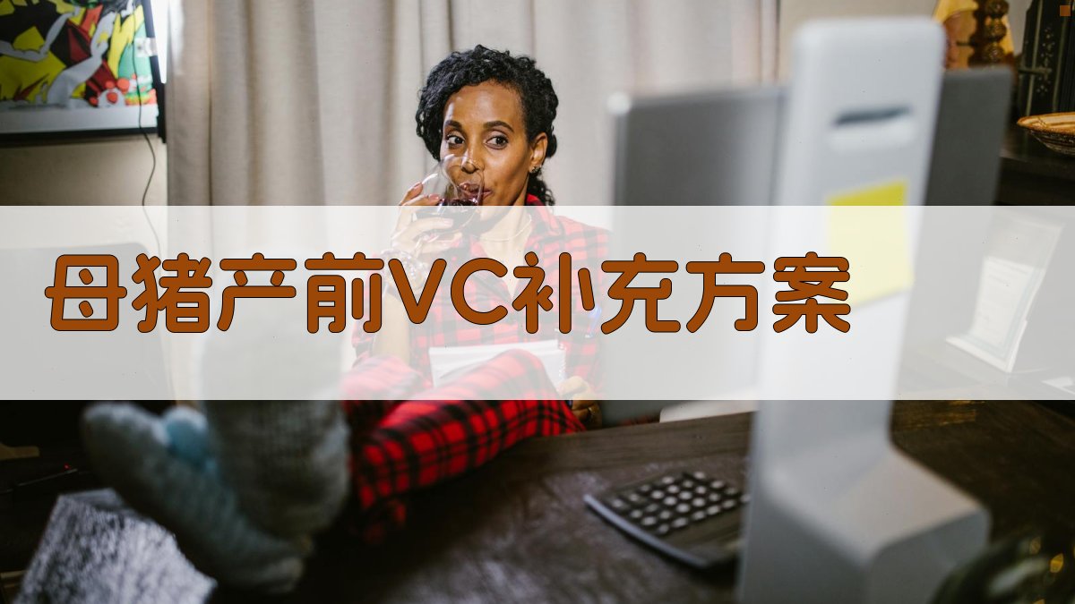 AI一键生成母猪产前VC补充方案