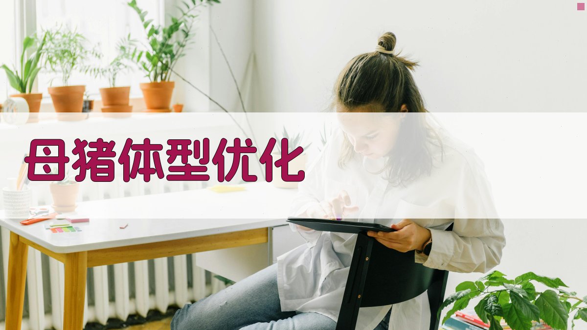 AI智能母猪体型优化方案生成器