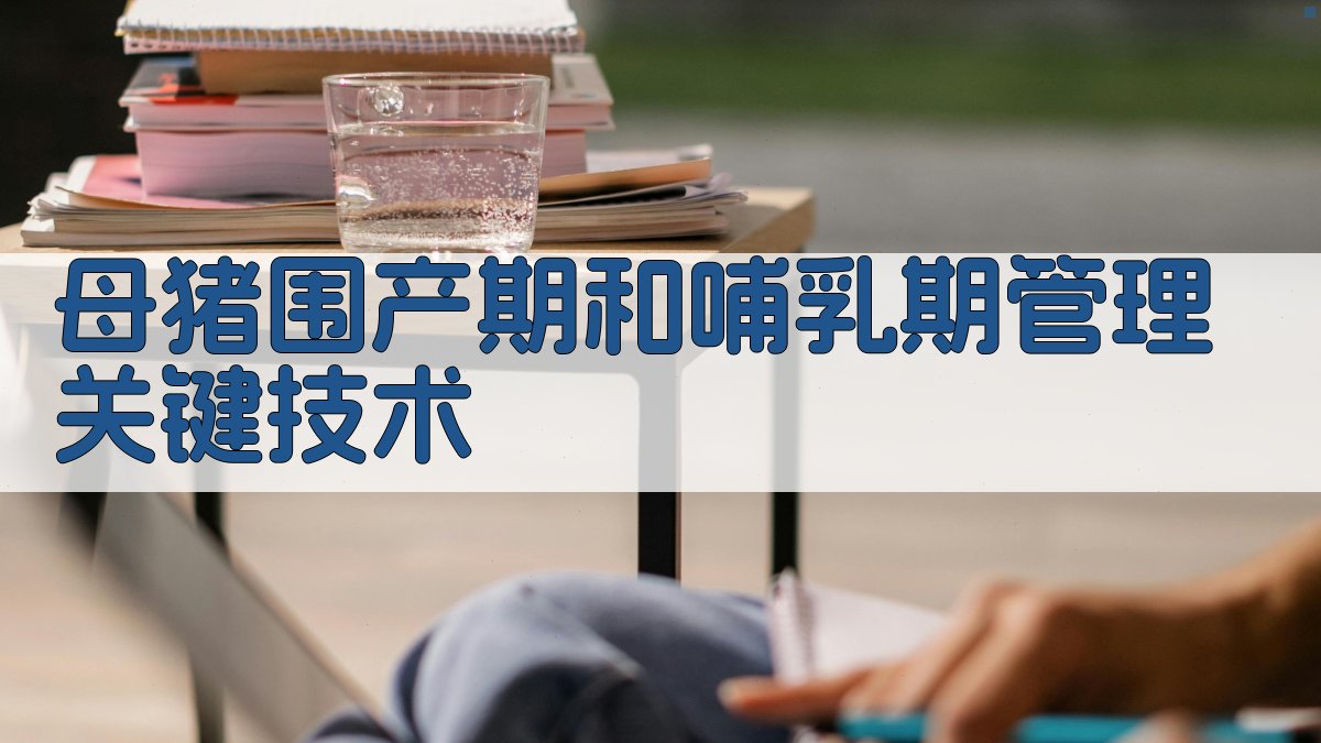 AI母猪围产期与哺乳期管理助手