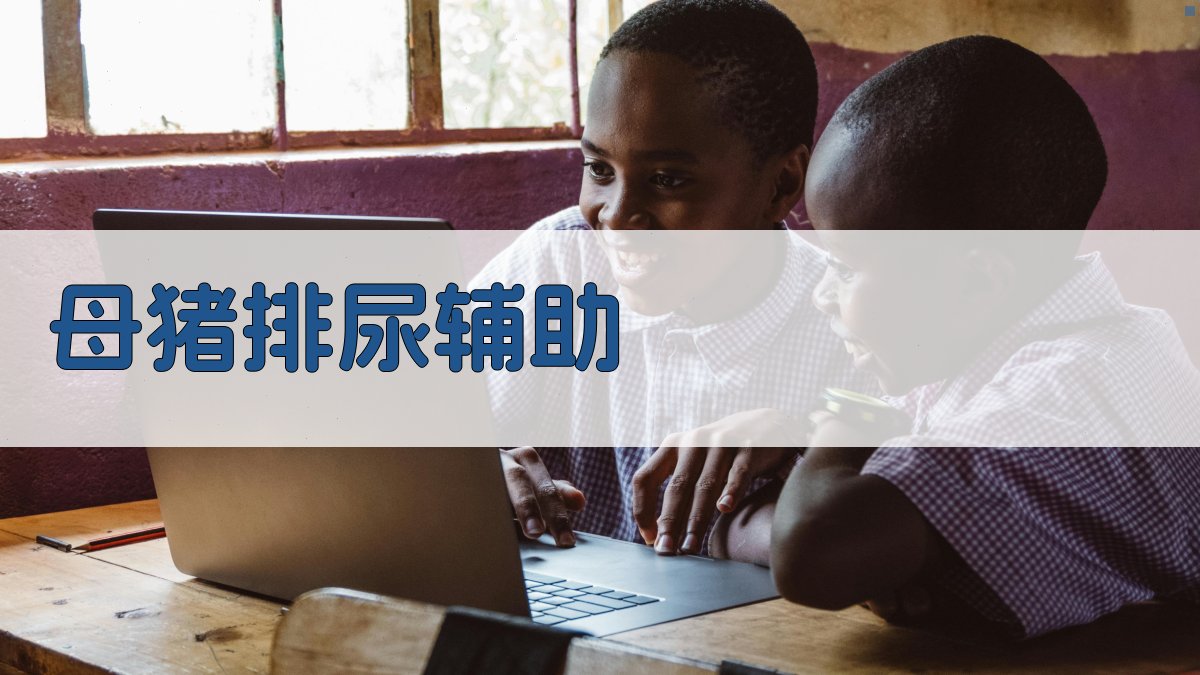 AI智能母猪排尿辅助