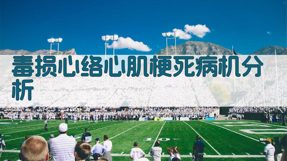 毒损心络理论分析