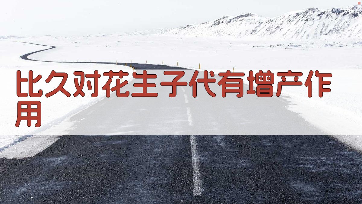 比久对花生子代有增产作用