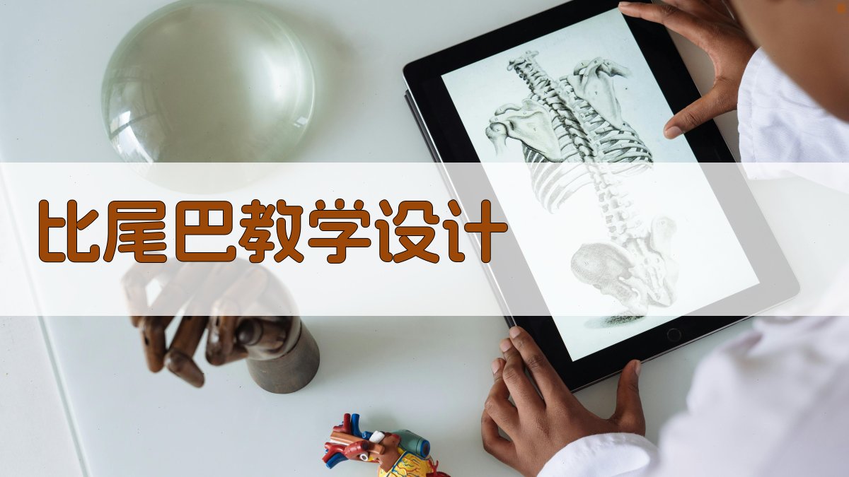 AI比尾巴教学设计