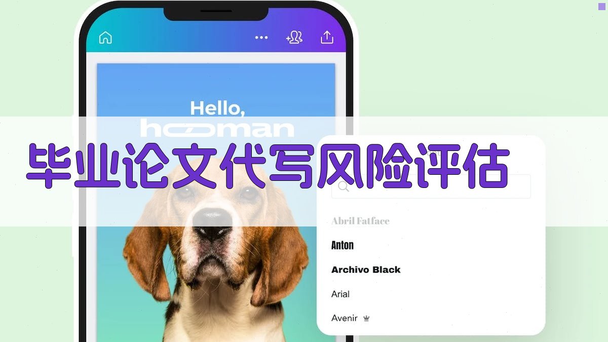 毕业论文代写风险评估