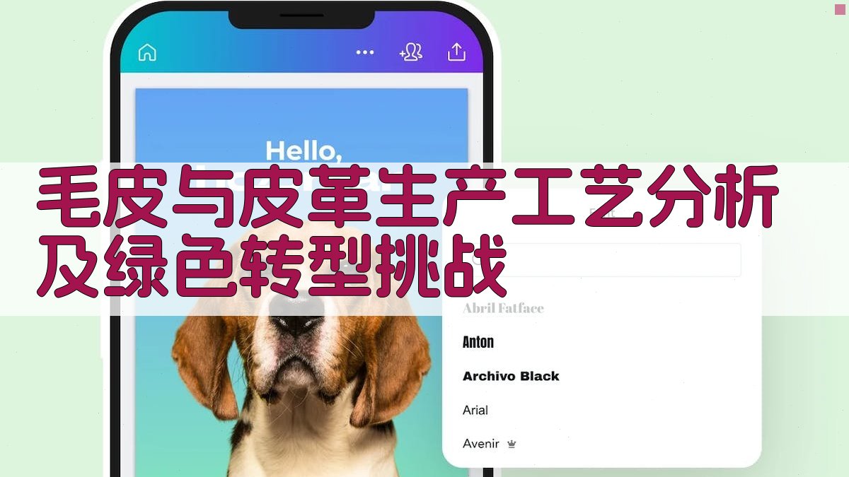 毛皮与皮革生产工艺分析及绿色转型挑战