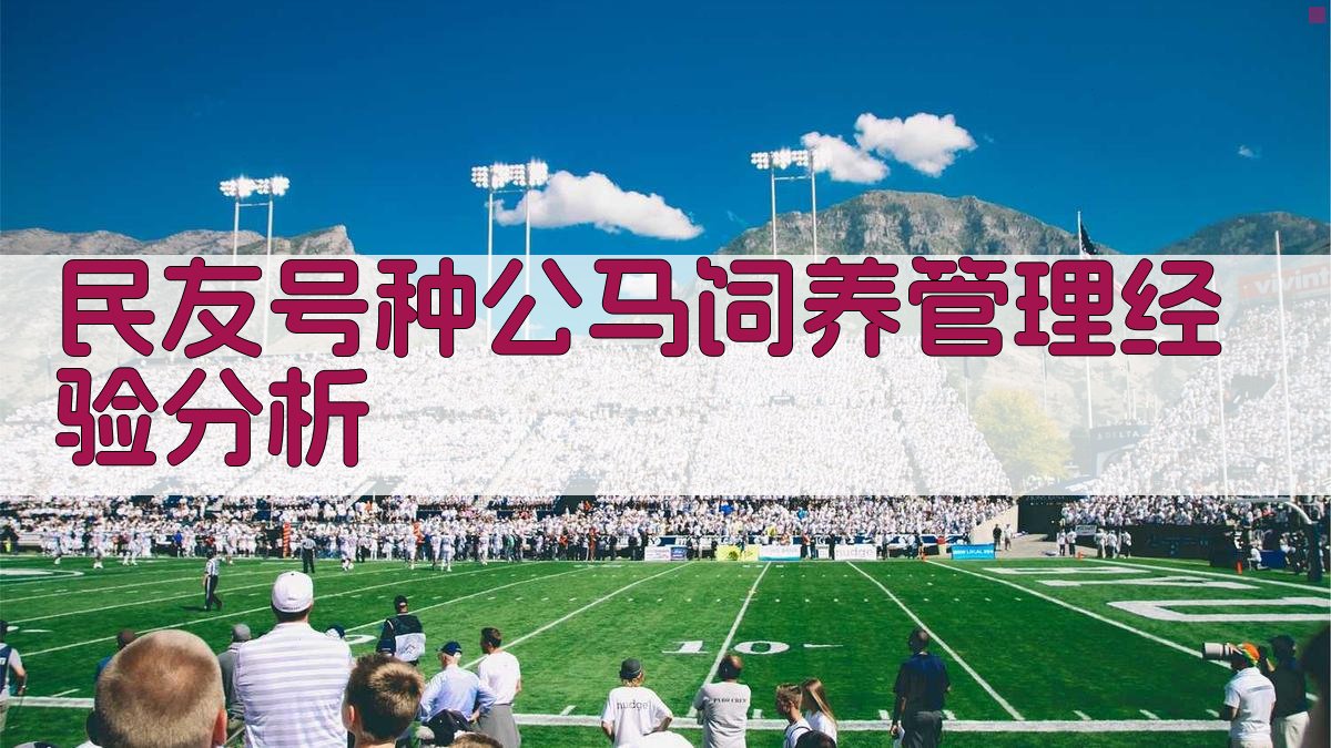 民友号种公马饲养管理经验分析