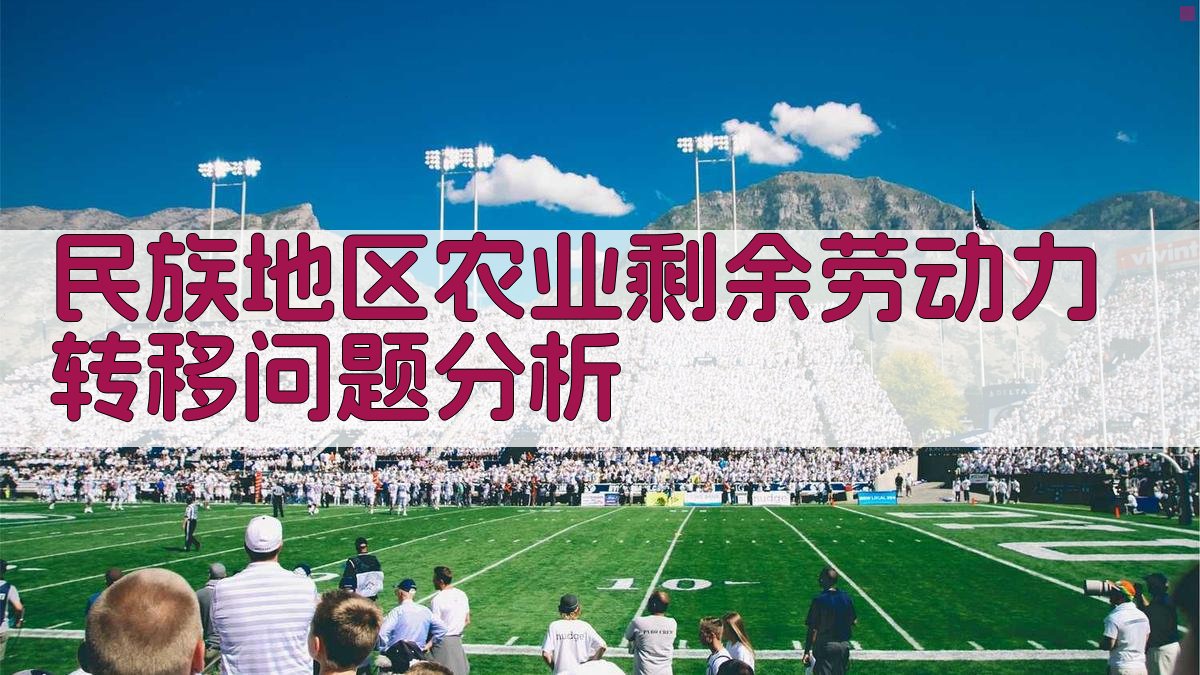 AI民族地区农业剩余劳动力转移问题分析