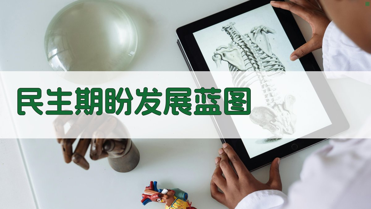 AI智能民生期盼与发展蓝图生成