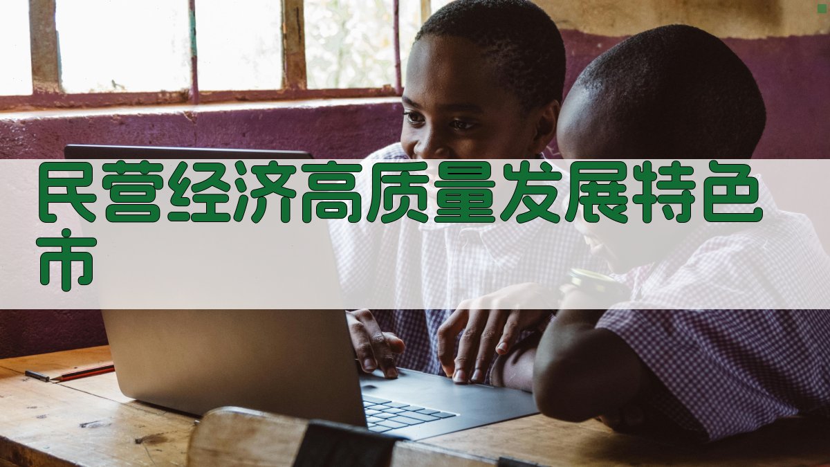 AI智能民营经济高质量发展特色市建设方案生成器