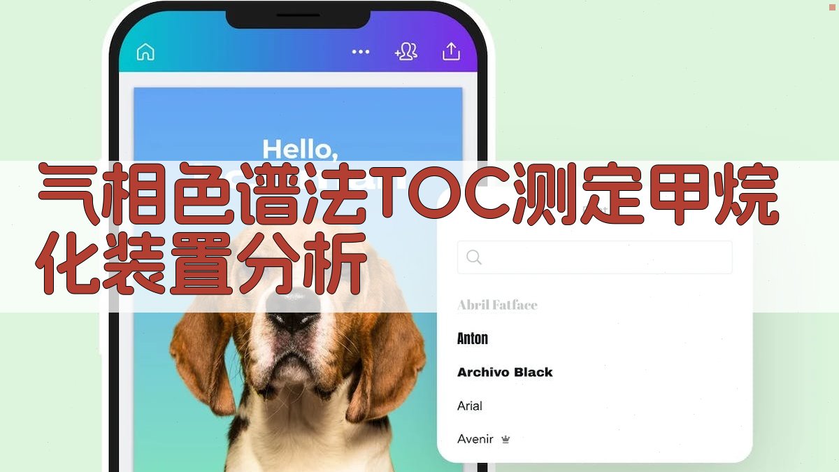 AI气相色谱法TOC测定甲烷化装置分析