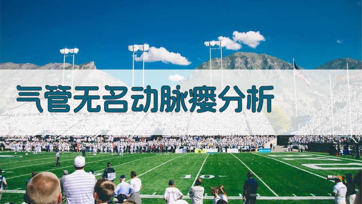 AI气管无名动脉瘘分析工具