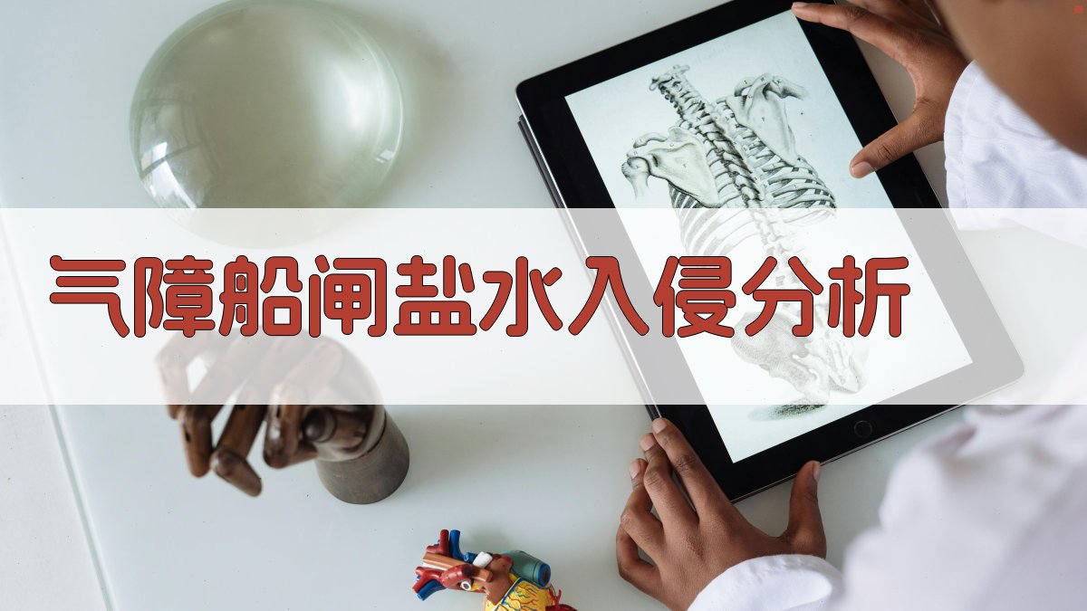 气障船闸盐水入侵分析