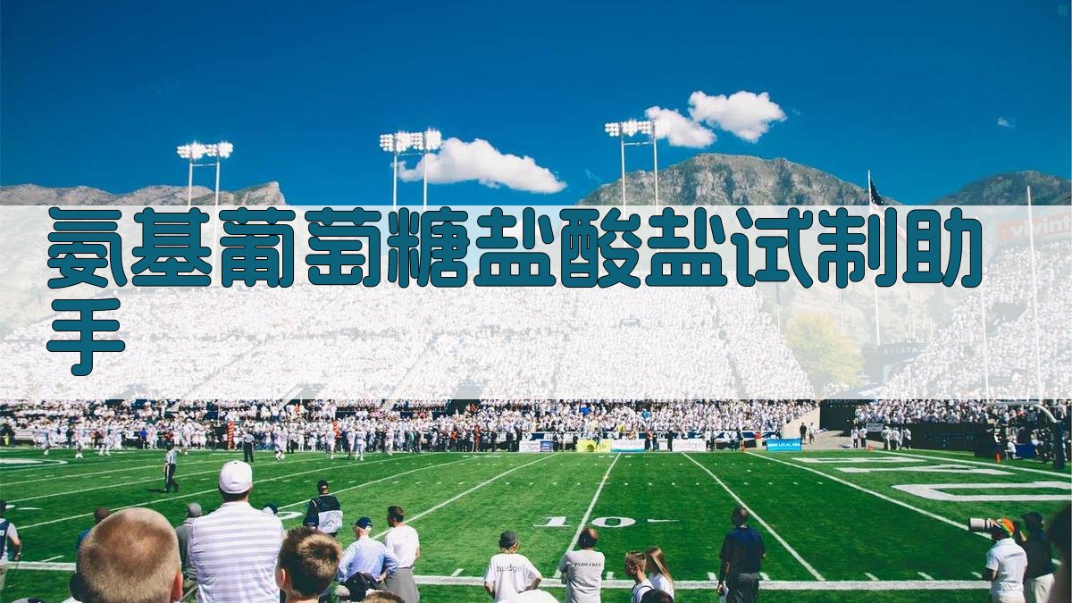 AI氨基葡萄糖盐酸盐试制助手