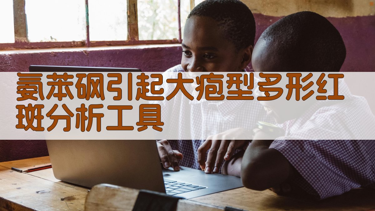 氨苯砜引起大疱型多形红斑分析工具