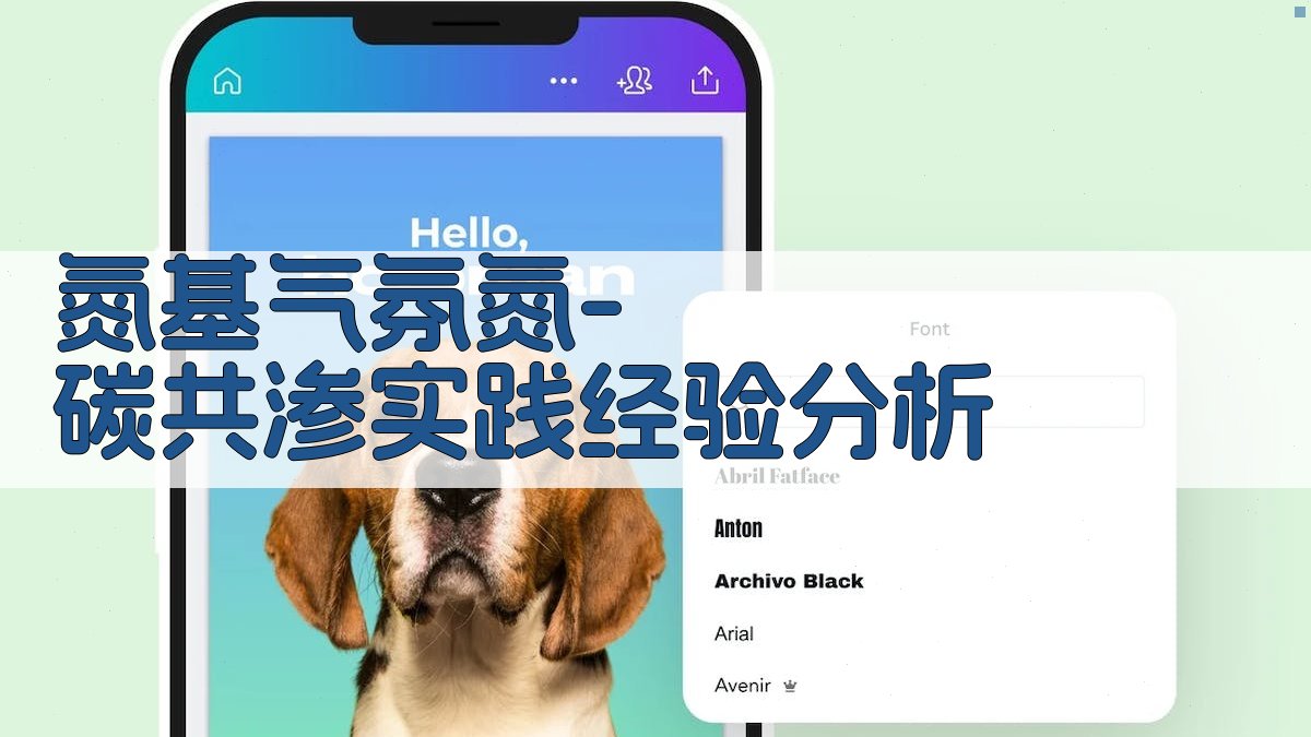 氮基气氛氮-碳共渗实践经验分析