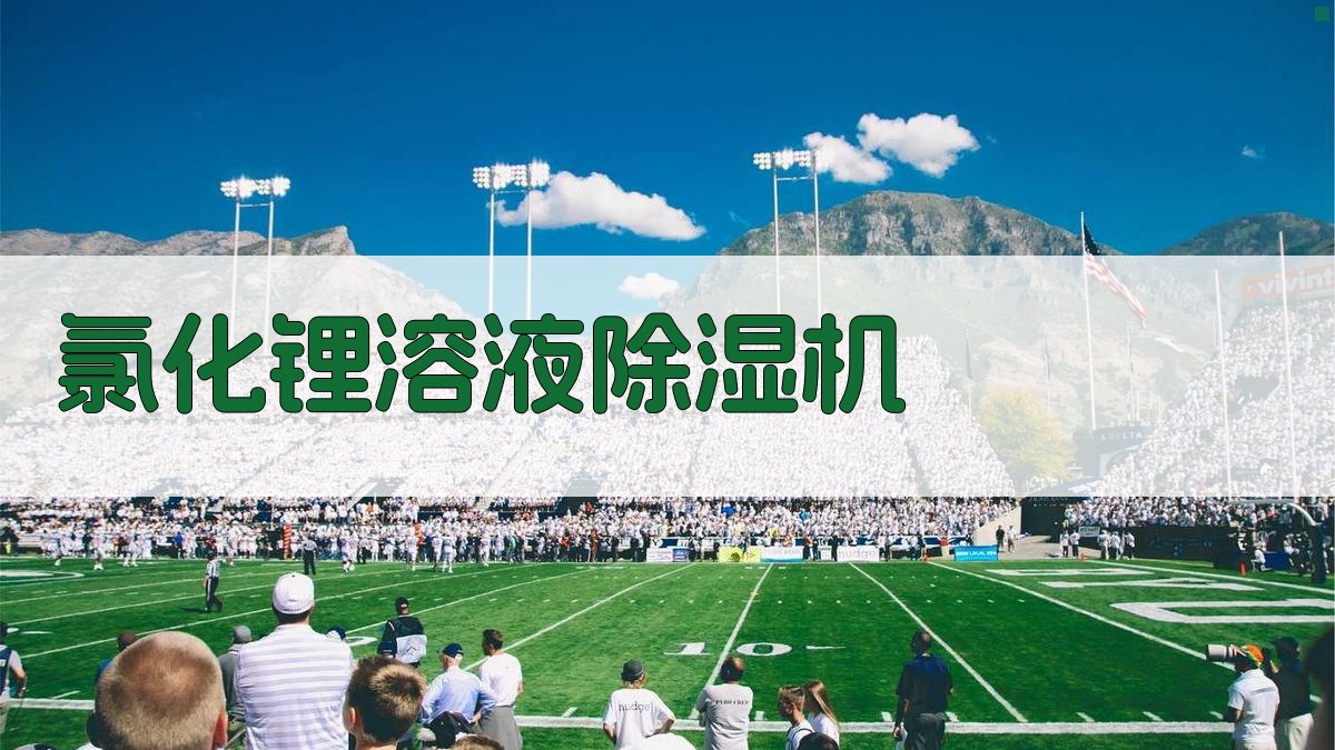 氯化锂溶液除湿机