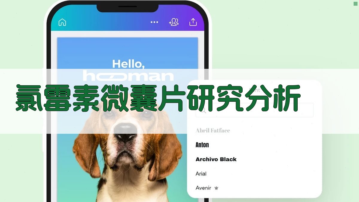 AI氯霉素微囊片研究分析