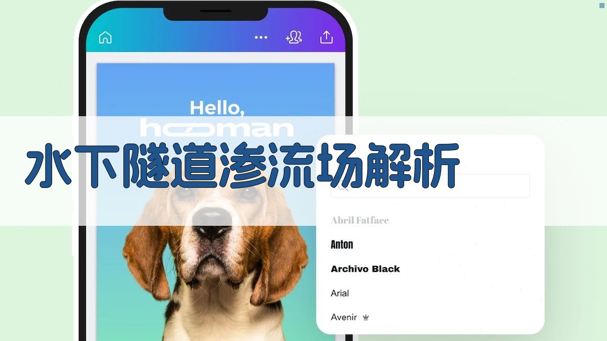 AI水下隧道渗流场解析工具