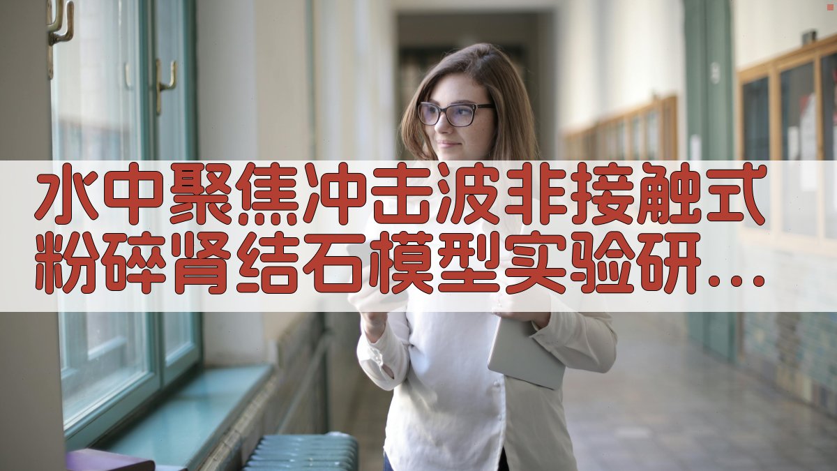AI肾结石冲击波实验分析