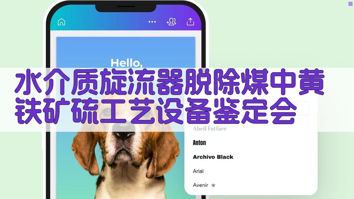 AI水介质旋流器脱硫设备鉴定会生成器